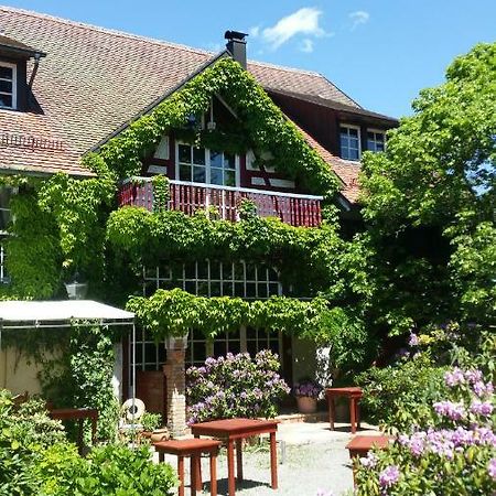 Landhotel Gut Greifhof Хайлигенберг Экстерьер фото
